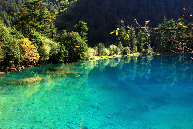 ★秋の九寨溝絶景紀行（６）～【樹正溝】→樹正群海：火花海