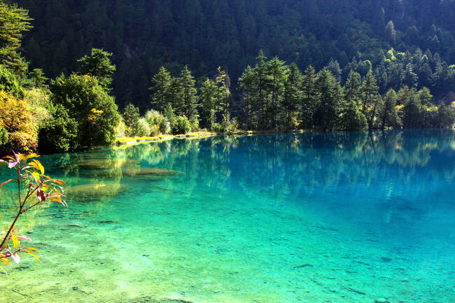★秋の九寨溝絶景紀行（６）～【樹正溝】→樹正群海：火花海