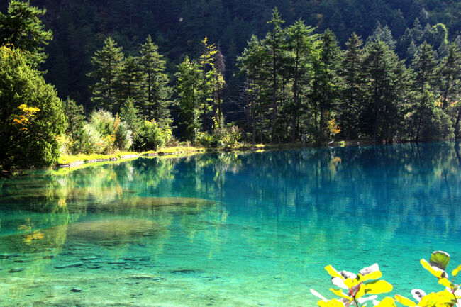 ★秋の九寨溝絶景紀行（６）～【樹正溝】→樹正群海：火花海<br /><br />地震によって決壊した場所は<br />幅約20m、長さ約50mの範囲で決壊が確認され、<br />湖水がほとんど失われてしまったそうです。