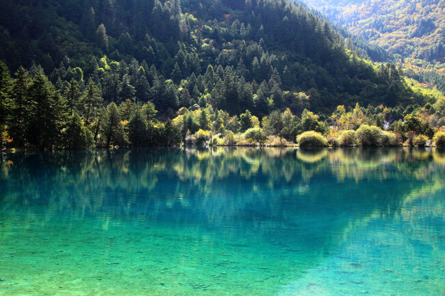 ★秋の九寨溝絶景紀行（６）～【樹正溝】→樹正群海：火花海