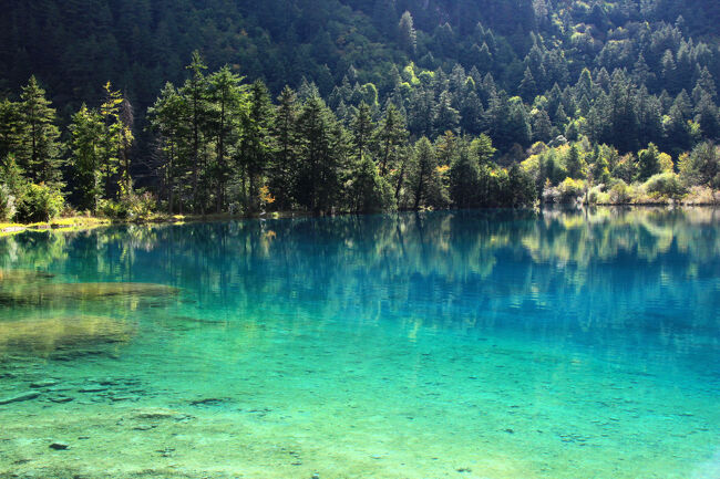 ★秋の九寨溝絶景紀行（６）～【樹正溝】→樹正群海：火花海<br /><br />九寨溝地震被害の復旧については、自然の力に任せる部分と、<br />人為的な支援を行う部分の両面で進められています。<br />完全に自然任せにしているわけではありません。