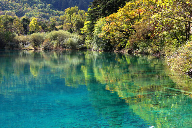 ★秋の九寨溝絶景紀行（６）～【樹正溝】→樹正群海：火花海<br /><br />写真右手が幹線道路方面で、<br />向こう側が上流（南）方面です。