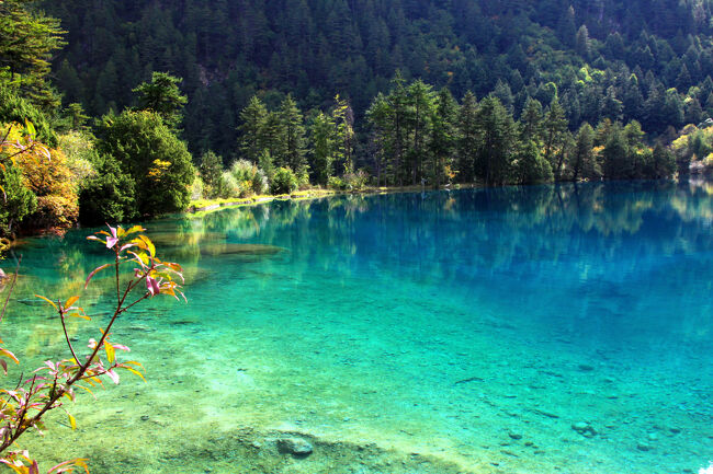 ★秋の九寨溝絶景紀行（６）～【樹正溝】→樹正群海：火花海