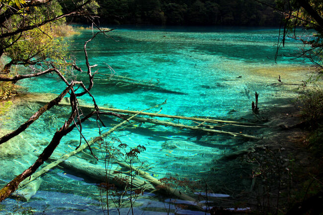 ★秋の九寨溝絶景紀行（６）～【樹正溝】→樹正群海：双龍海
