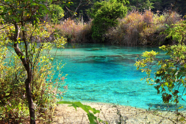 ★秋の九寨溝絶景紀行（６）～【樹正溝】→樹正群海：双龍海<br /><br />双龍海は標高2200mにあり、長さ290ｍ。幅214mと<br />水深９ｍと案内板に表示されていました。