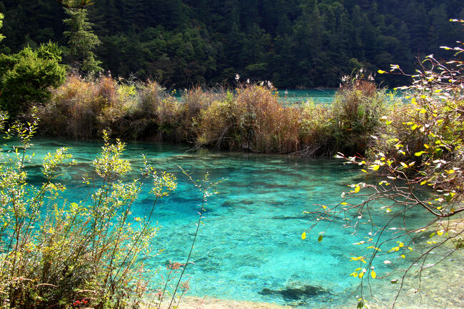 ★秋の九寨溝絶景紀行（６）～【樹正溝】→樹正群海：双龍海