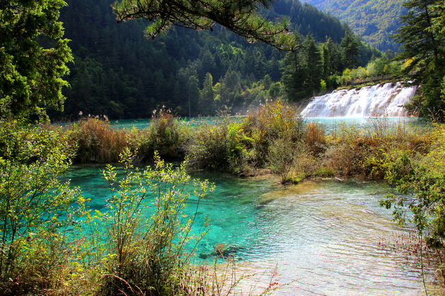 ★秋の九寨溝絶景紀行（６）～【樹正溝】→樹正群海：双龍海<br /><br />写真左上には火花海から流れおちてきた小瀑布が見えていますが<br />名前は見つかりませんでした。