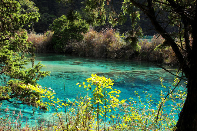 ★秋の九寨溝絶景紀行（６）～【樹正溝】→樹正群海：双龍海
