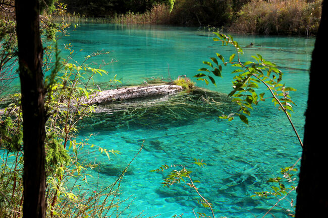 ★秋の九寨溝絶景紀行（６）～【樹正溝】→樹正群海：双龍海