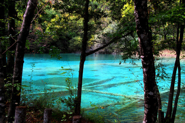 ★秋の九寨溝絶景紀行（６）～【樹正溝】→樹正群海：双龍海