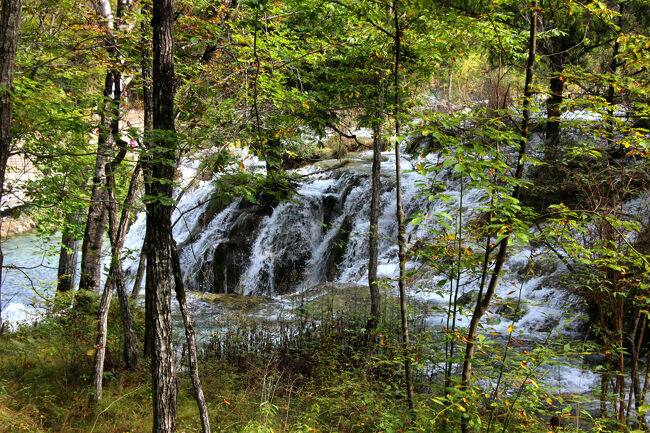 ★秋の九寨溝絶景紀行（６）～【樹正溝】→樹正群海:双龍海瀑布<br /><br />双竜海から流れ出した水は双竜海瀑布となって<br />流れ落ちていきます。