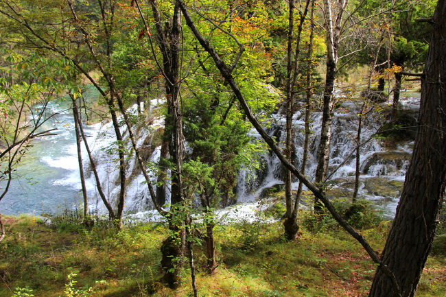 ★秋の九寨溝絶景紀行（６）～【樹正溝】→樹正群海:双龍海瀑布