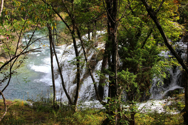 ★秋の九寨溝絶景紀行（６）～【樹正溝】→樹正群海:双龍海瀑布<br /><br />九塞溝や黄龍の滝は滝の大小はあっても、<br />どの滝も良く似ています。<br />それは滝に成り立ちがほぼ同じだからです。