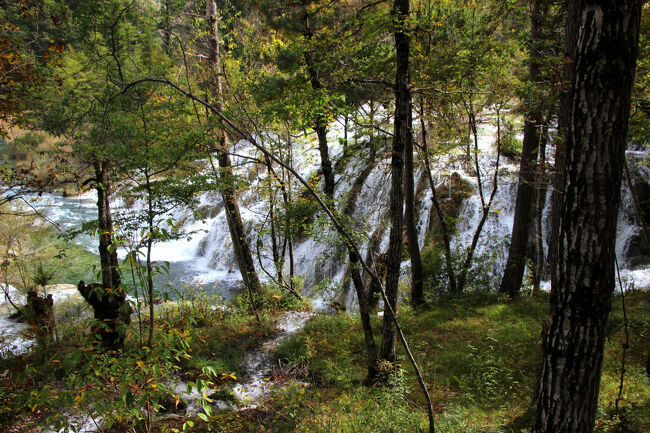 ★秋の九寨溝絶景紀行（６）～【樹正溝】→樹正群海:双龍海瀑布