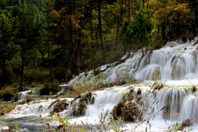 ★秋の九寨溝絶景紀行（６）～【樹正溝】→樹正群海:双龍海瀑布<br /><br />減光レンズフィルター（NDフィルター）を使う手もありますが<br />今回は持参しなかったので、通常の絞りとシャッタースピードの<br />調整で撮影しましたが、やはり空は晴れていたので<br />絞りきれませんでした(－－〆)。<br />