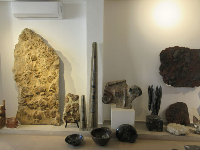 化石加工工場のショップ。