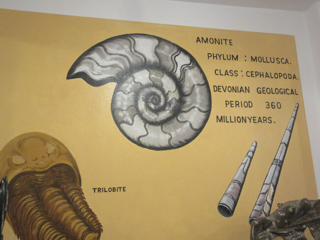 化石加工工場のショップ。