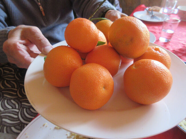 デザートはオレンジです。というか、みかんだった。