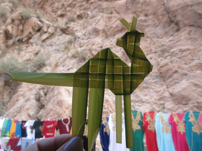 少年が葉っぱで作ったらくだや魚を私に見せるので、いくらか聞くと1DHというので買いました。1DHって１８円しないくらいですよ。そんなんでいいのか、逆に心配になりましたけど、ここで安いからとたくさん渡したりすると、後々の日本人から大金を取るようになってはいけませんので、きっちり１DH渡しました。１４歳と言ってました。もっと小さそうに見えたけどね。