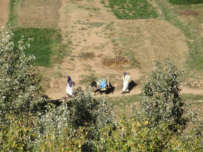 畑で仕事しています。何か作物を運んでいるようにも見えました。