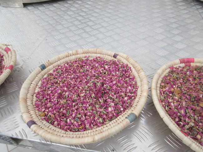 乾燥させます。