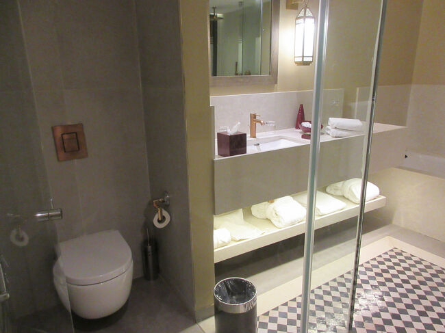 お手洗いもシースルーよー。