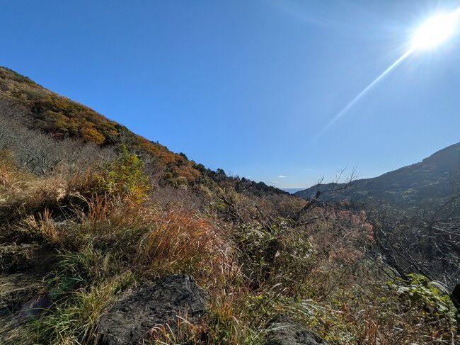 12/5　気持ちのよい快晴！<br /><br />今日は金曜だが2人して仕事をoffにして湯河原へ<br />温泉だけではなんだし、低山をハイキング