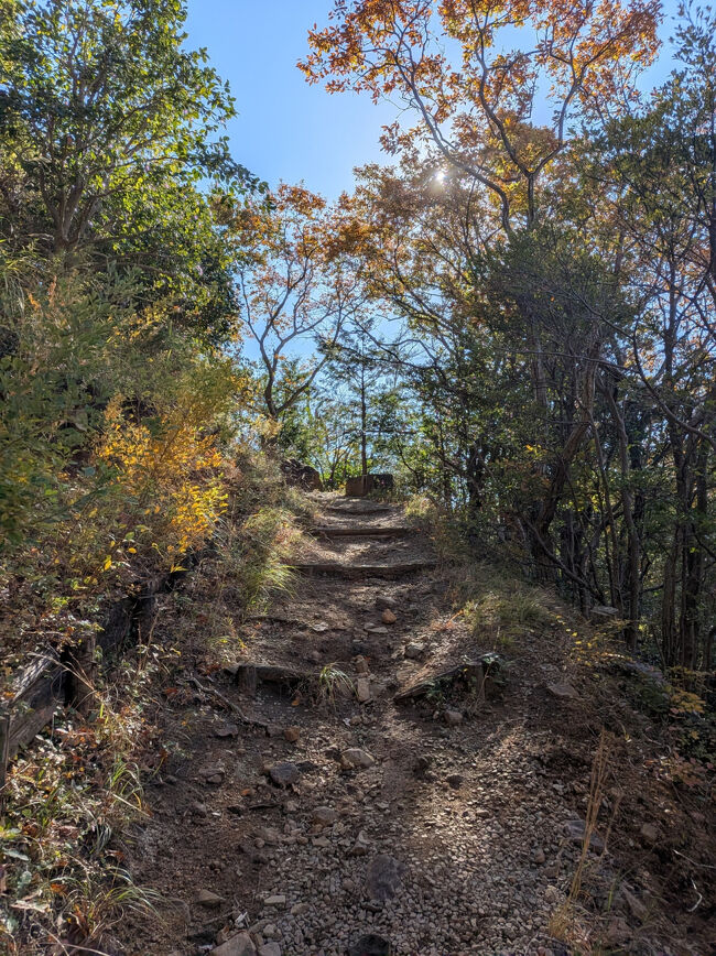 幕山と南郷山という2つの山を周る程よい傾斜の山散歩コース<br /><br />しかし先月20年ぶりにインフルエンザにかかり<br />丸々1ヶ月散歩すらしなかった私にはキツイ…<br />ヒーフー、ヒーフー