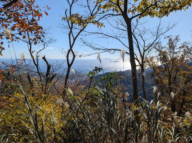 しばらく登ると、相模湾を一望<br />海、キラキラしてる～