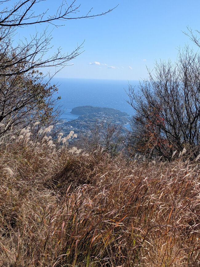 幕山から南郷山へ向かう途中、<br />真鶴半島と相模湾がキレイに見える。<br /><br />真鶴半島は15万年前の箱根火山の流れ出た溶岩でできたらしい。<br />あんな方までドロドロ～っと行ったのか。<br />そして頼朝はあそこから舟で房総へ行ったのか。