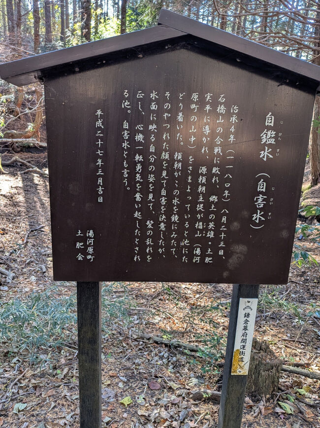 頼朝の足跡を辿り、自鑑水という池に着いた。<br />季節的にほぼ干上がってるが、10メートルほどの窪みがある。<br /><br />(自害水)ってのがなかなか恐怖ワードだが<br />戦に敗れた頼朝がここで自害を決意するも、<br />水に映るやつれた自分をみて再起した場所だそうで<br />実はよっしゃ～やったるで～の場所なのだ。<br /><br />以前梅を見るついでにこの山の裏にある、しとどの窟という頼朝が身を隠した洞にも行ったことがあるが、かなり怖めのスポットだったっけな。