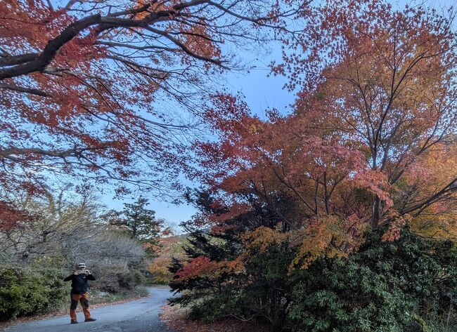 3時間半のハイキングで人に会ったのは2人だけ。<br />丹沢や富士山など人だらけ登山が多かったので、静かなハイキングは癒されました～