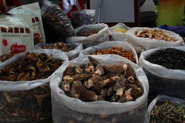 ★秋の九寨溝絶景紀行（６）～松藩県：松州古城：城内<br /><br />時期的な事もあると思いますが、<br />キノコの乾物がけっこう売られていました。<br />値段は交渉制なので中国語が分からないと買いづらいかも。<br />日本ではとても高価なアミガサダケの乾物があり<br />ガイドの石さんに通訳してもらい購入してみました。<br />帰国後にスープや炊き込みご飯にして美味しく頂戴しました。<br />楽天市場では30gで2,380円もしますが<br />松州古城では50元（1100円）で300gくらい買えました。<br /><br /><br />