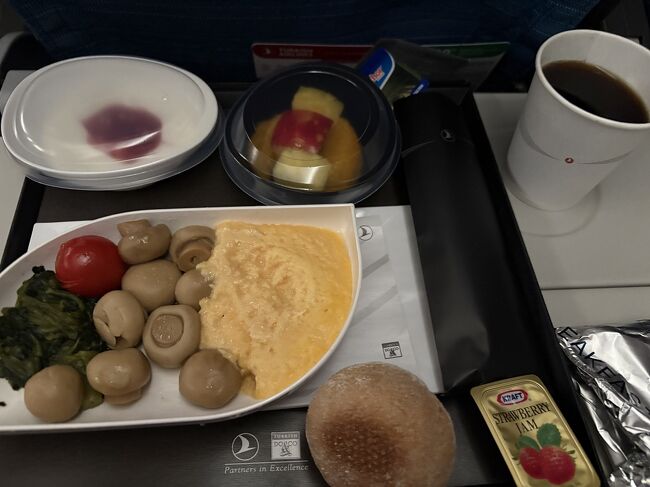 トルコ航空の機内食は美味しいと聞いてたんだけど・・