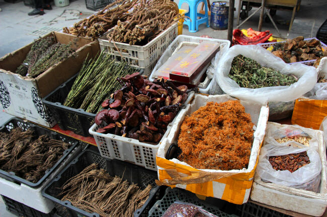 ★秋の九寨溝絶景紀行（６）～松藩県：松州古城：城内<br /><br />漢方の国だけあって乾燥させた薬草が様々売られていました。<br />当然、病気になればお医者さんに診てもらうのでしょうが<br />ちょっとした症状なら民間薬で治すのだと思います。<br />