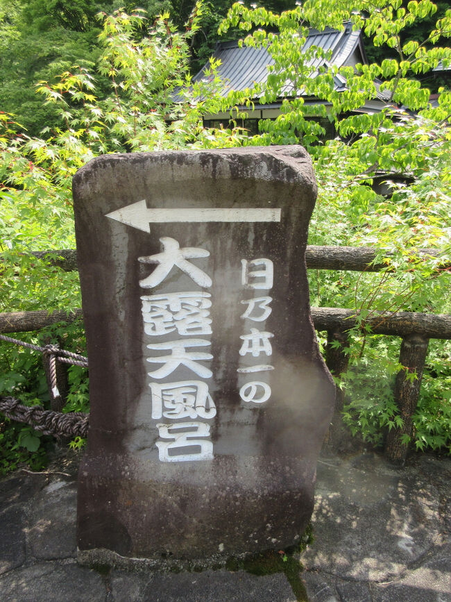 大露天風呂はあちら<br />ワクワク