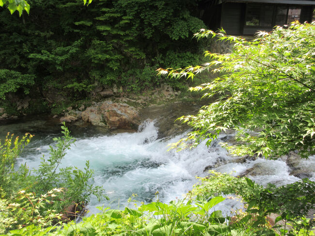 これは川なのかな～