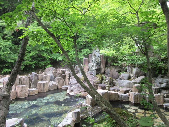 魔訶乃湯<br /><br />不動明王の像が。川かと思ったら、ここから温泉っぽい<br />まだ誰もいない<br />