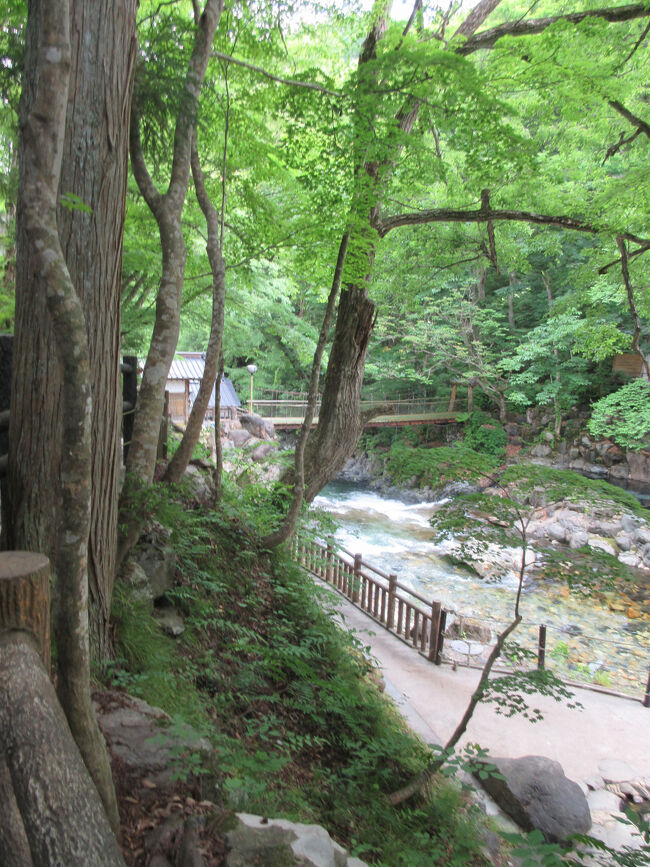 200畳の湯はこの先<br /><br />川沿い（温泉沿い？）の木々の緑はもみじだ。紅葉の時期はすごそう<br />湯あみに着替え、露天風呂を満喫。いや～、広い。時間も早いし金曜だしで空いてるけど、混んでもこれだけ広いと余裕だね