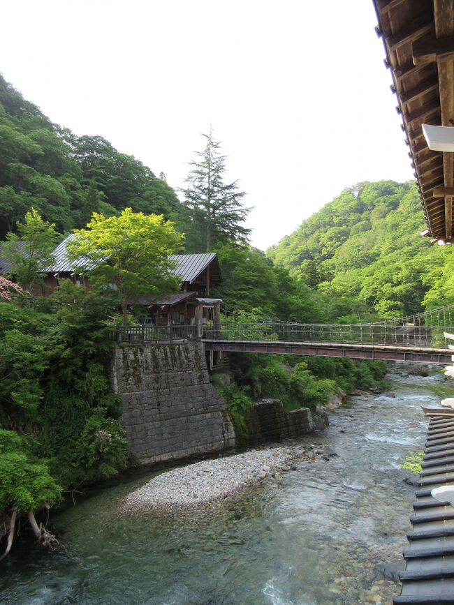 朝風呂<br /><br />寝ていたら、母は6時起きですでにひとっぷろ帰り。さすがだね