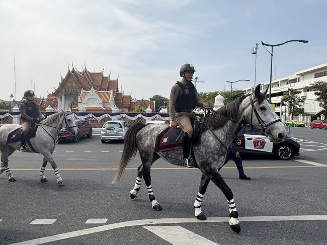 騎馬警察に遭遇<br />かっこいい