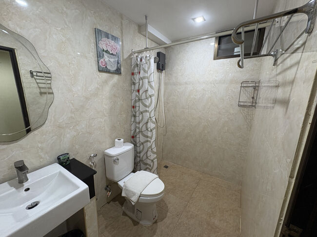 シャワーカーテンがある<br />というだけで私には高評価ポイント