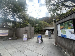 鎌倉駅からバスで15分ほどの『浄明寺』停留所で降りて、一条恵観山荘（いちじょうえかんさんそう）に到着。

10:00～16:00（最終入園15:30）