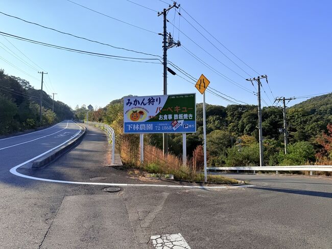 坂が急すぎて即断念。「みかん狩り」の看板に誘われて右側の坂を下る。<br /><br />インバウンドの女性がクロスバイクをえっちらおっちら漕ぎながら上って行った。こんな所まで来るんだね、びっくりしながら見送る。