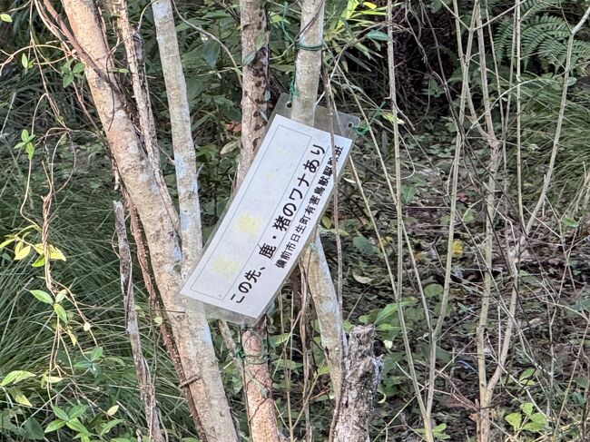 鹿・猪のワナだった、やれやれ。<br />鹿久居島と言うくらいだから鹿がず～っと居るんだな。<br /><br />近くで爆音機がズドーンと音を立てた。現代版 ししおどし だ。　来るぞ来るぞと身構えていても、ズドーンと来るとびっくりする。<br />心臓に良くないジジおどしだ。