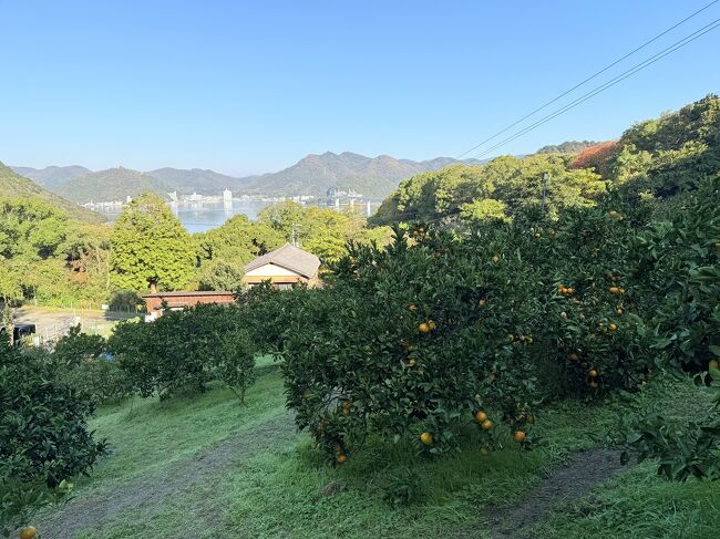 ここがビューポイントらしい。<br /><br />除草剤は使わず、農薬も使わず、山の斜面も段々にせず、そのままだ。<br /><br />「朝露の草で滑るから　気をつけてくださいね」<br />と促されるも 爆音機に気取られ、てっ転ぶ。<br /><br />誰にも見られなかったのが、不幸中の幸い。