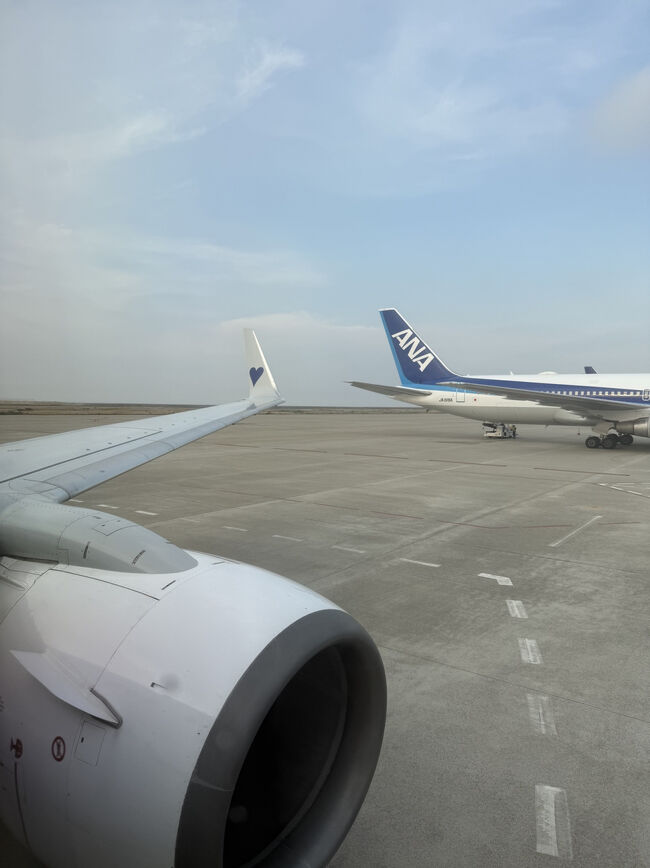 スカイマークで羽田へ