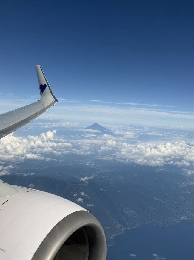 富士山が見えました。