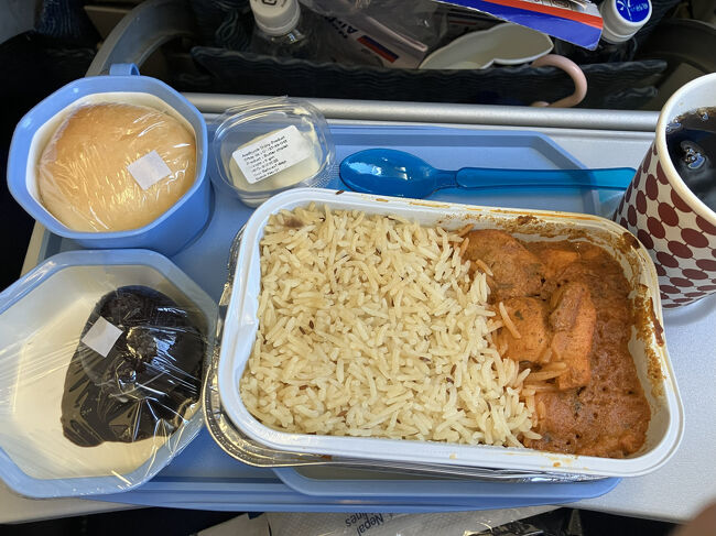 １回目の機内食。チキンライスorチキンヌードル、ベジタリアンもあったかも。アルコールは積んでいませんでした。ビールがあると思っていたのでちょっとショック。