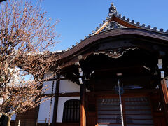 坂の先は、かつて徳川家の菩提寺であった寛永寺の支院が立ち並んでいた場所である。三十六を数えた支院だが、今でも十九残っている。そのうちのひとつである養寿院に立ち寄る。かつては、寛永寺の西側に位置していたが、大正期に現在の場所に移ったのだそうだ。